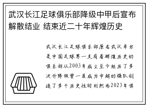 武汉长江足球俱乐部降级中甲后宣布解散结业 结束近二十年辉煌历史