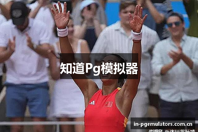 知道Pg模拟器